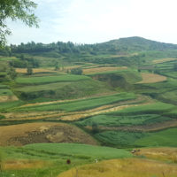 Gerade 7% der globalen landwirtschaftlichen Nutzfläche sind in China. Im bevölkerungsreichsten Staat der Welt wohnen 20% der Weltbevölkerung - und 60% aller Beamten.