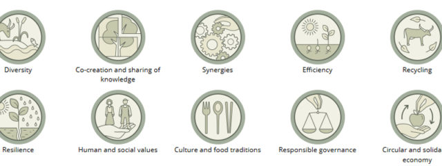 die 10 Elemente der Agrarökologie (FAO)