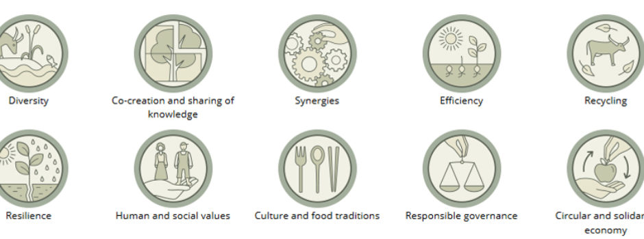 die 10 Elemente der Agrarökologie (FAO)
